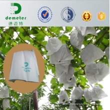 33X43cm 36г Белый Микропоры бумага хорошая воздухопроницаемость винограда Крышка бумажный мешок популярное используемое в Перу, рынок Чили 